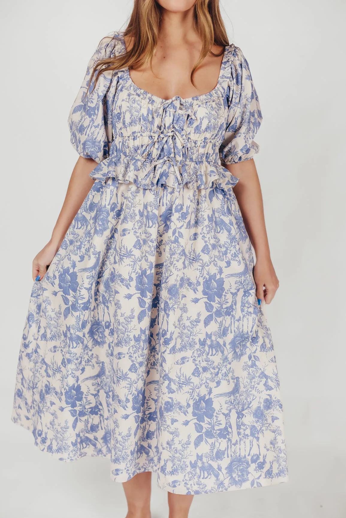 Annabelle Toile Print Midi Dress in Blue