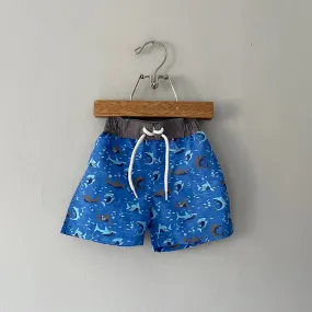 Coyote & Co. / Swim trunks / 6-12M